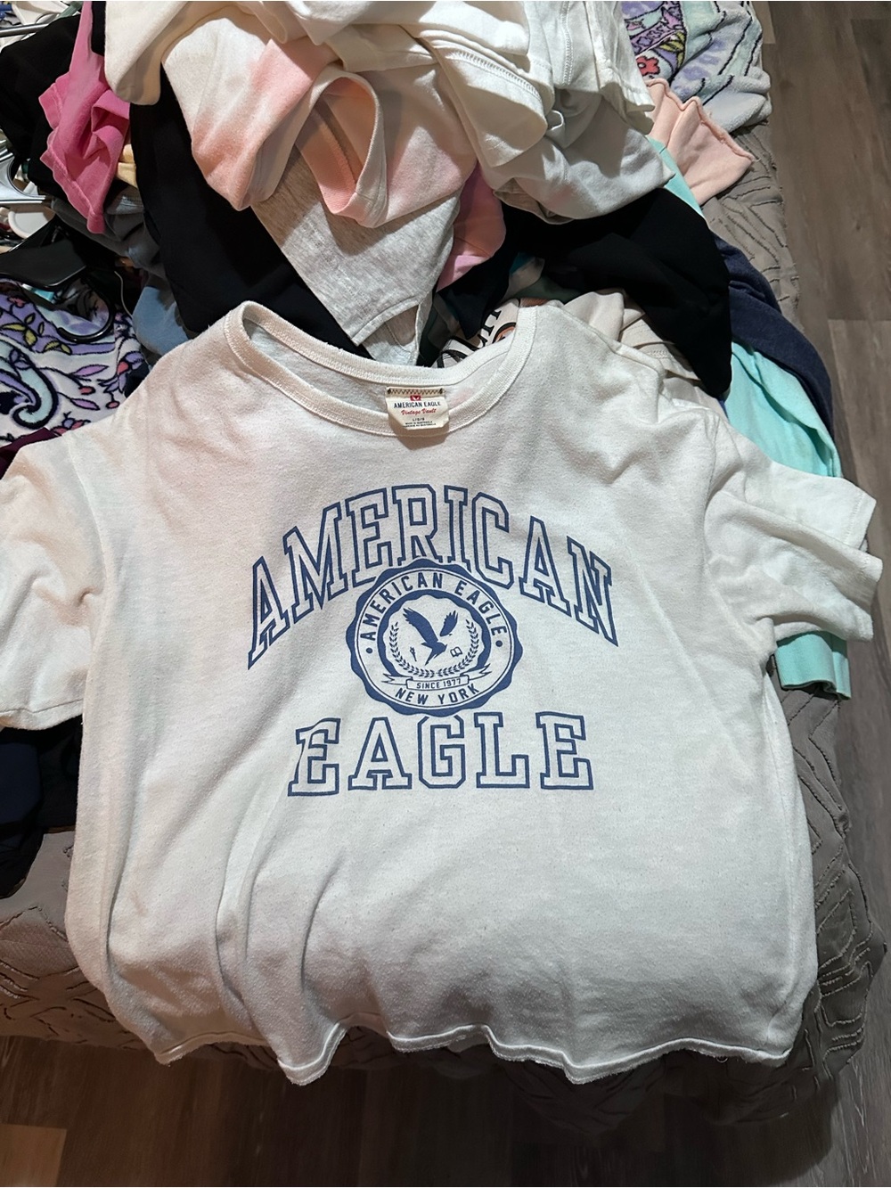 American Eagle Outfitters White Tee with Blue Collegiate Graphic
